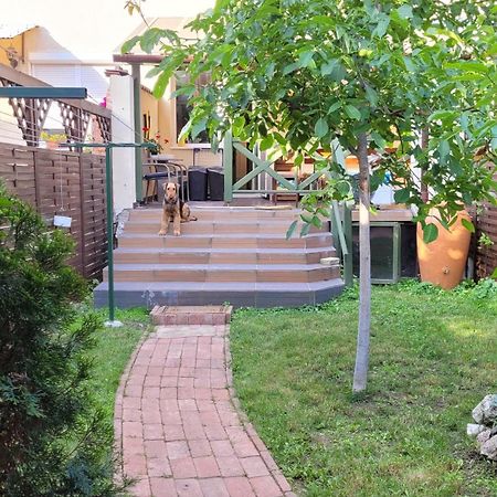Tulip Home Guest House Vác Εξωτερικό φωτογραφία