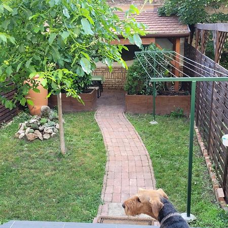Tulip Home Guest House Vác Εξωτερικό φωτογραφία