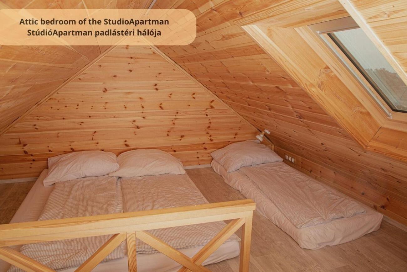 Tulip Home Guest House Vác Εξωτερικό φωτογραφία